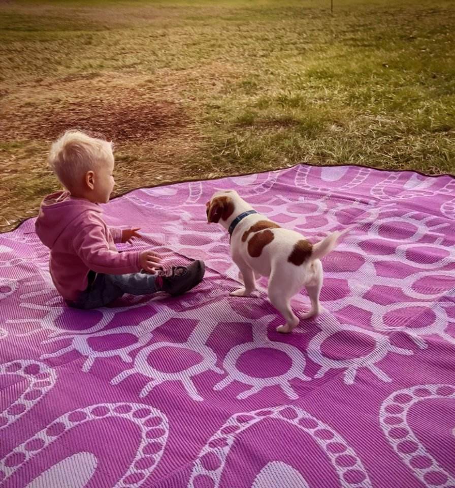 High Quality Outdoor Mat Polypropylene Water-resistant Washable Reversible Outdoor Carpet Rug Picnic Outdoor Woven Carpet